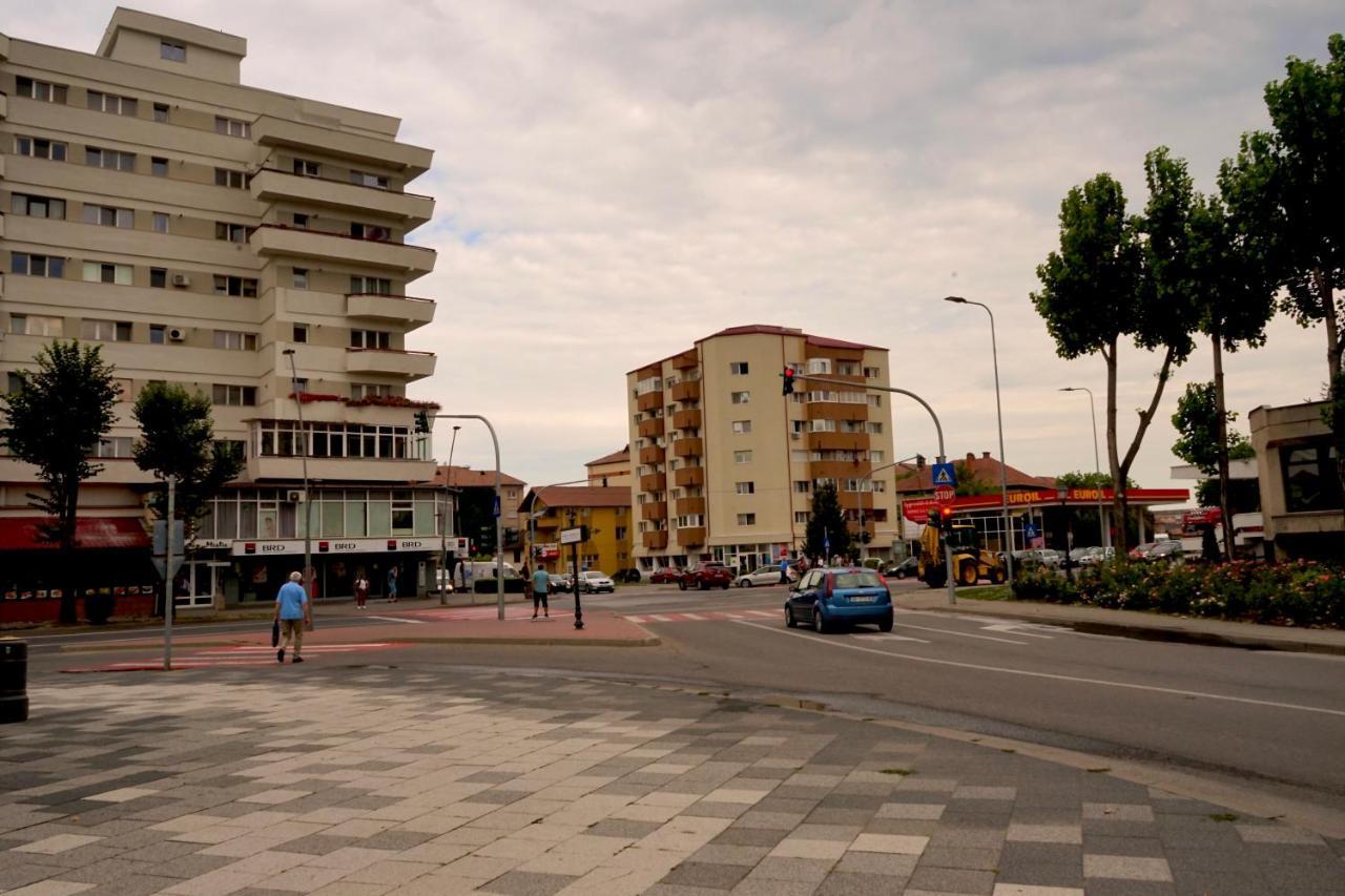 Apartament Viorela Alba Iulia Exterior foto